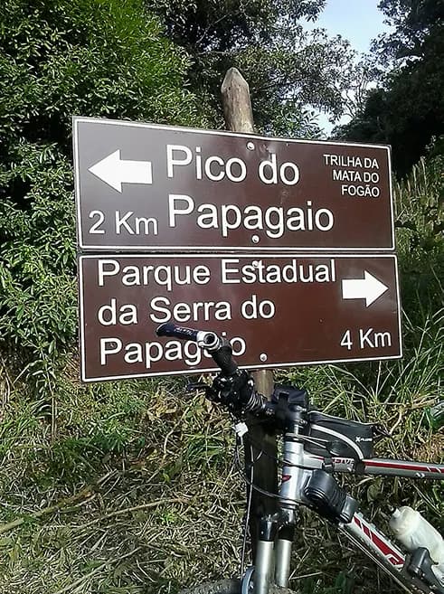 Longe do céu, perto dos anjos
