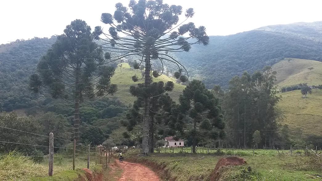 Longe do céu, perto dos anjos