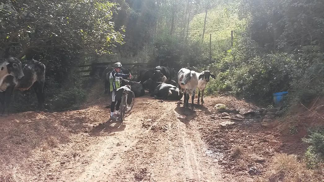 Longe do céu, perto dos anjos