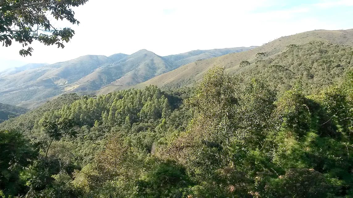 Longe do céu, perto dos anjos