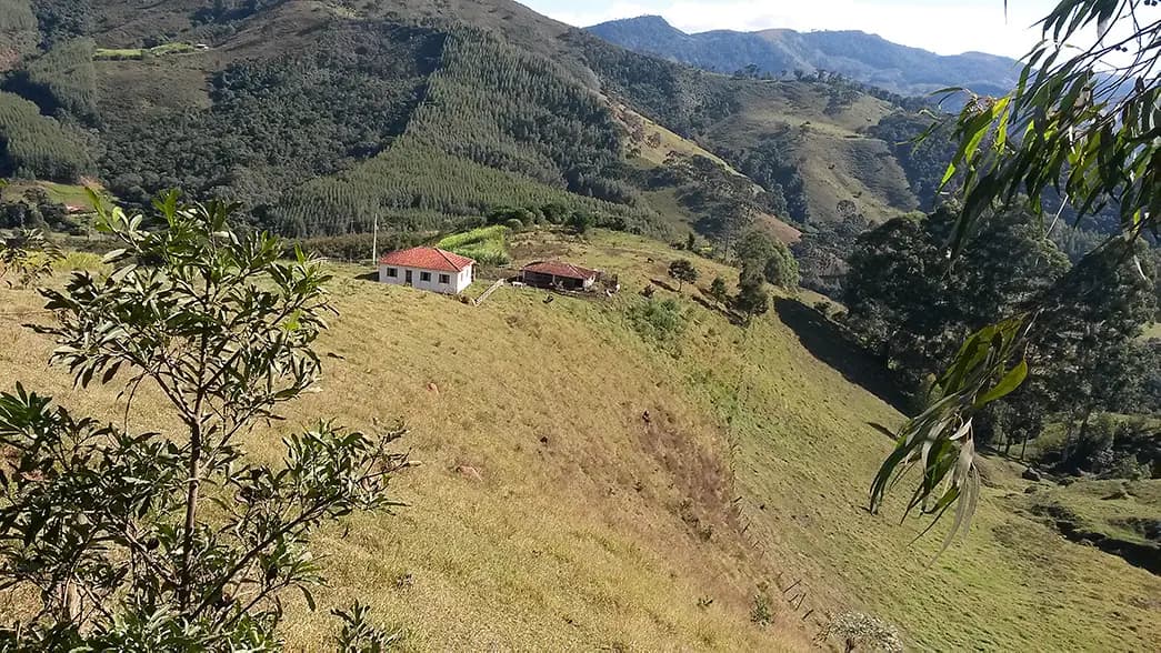 Longe do céu, perto dos anjos