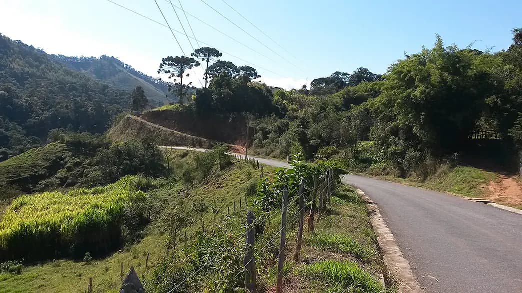 Longe do céu, perto dos anjos