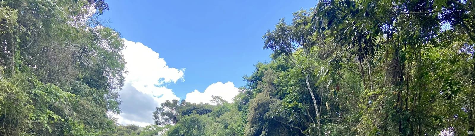 Caminho dos Anjos