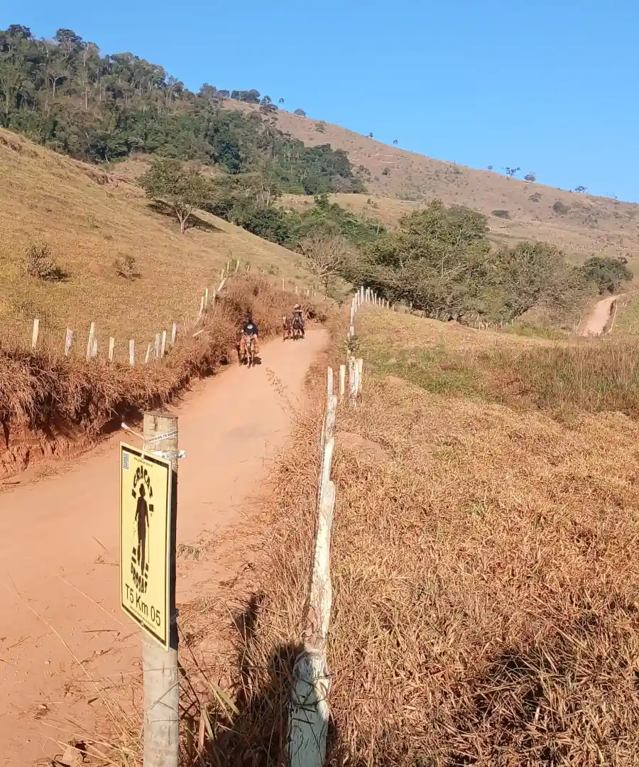 Reencontro com o caminho