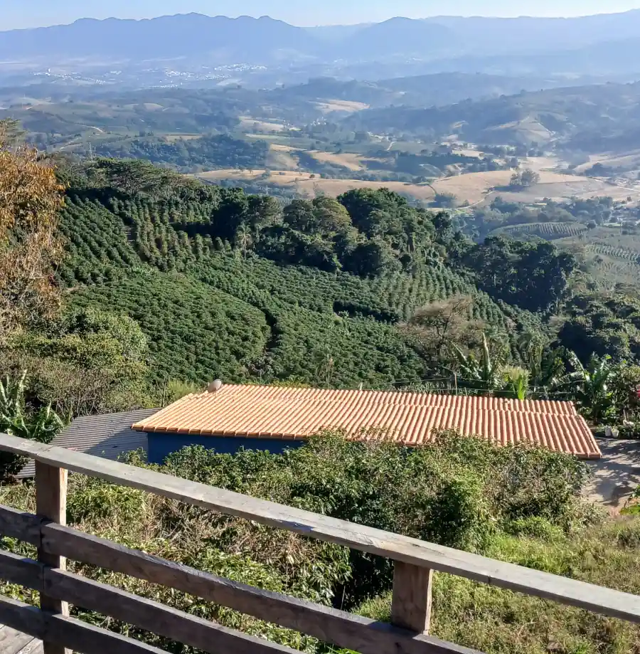 Reencontro com o caminho