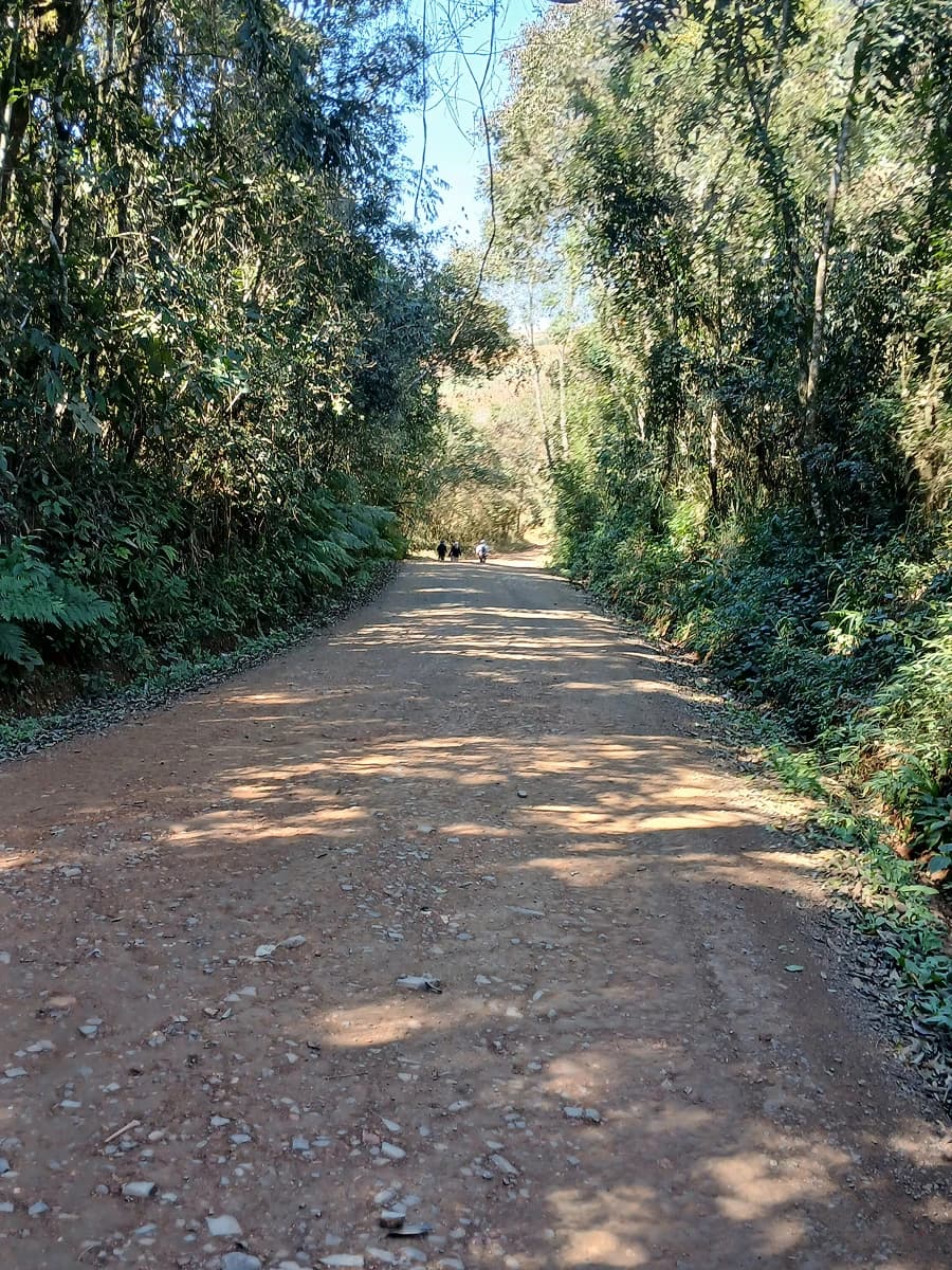 Reencontro com o caminho