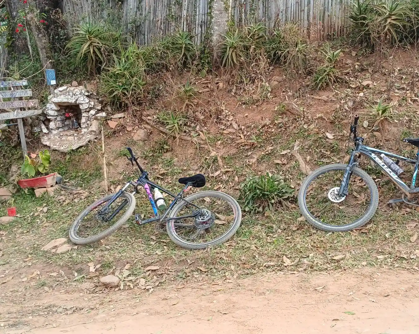 Reencontro com o caminho