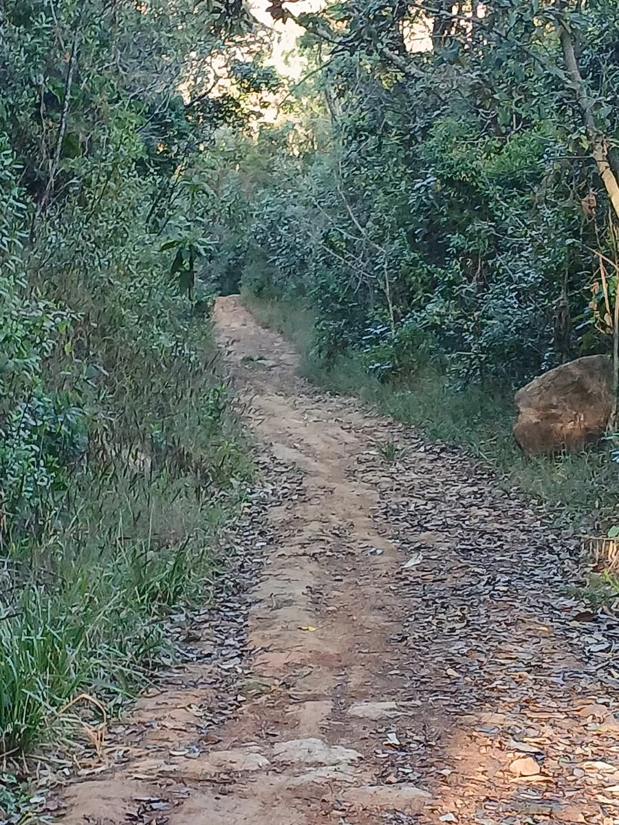 Reencontro com o caminho