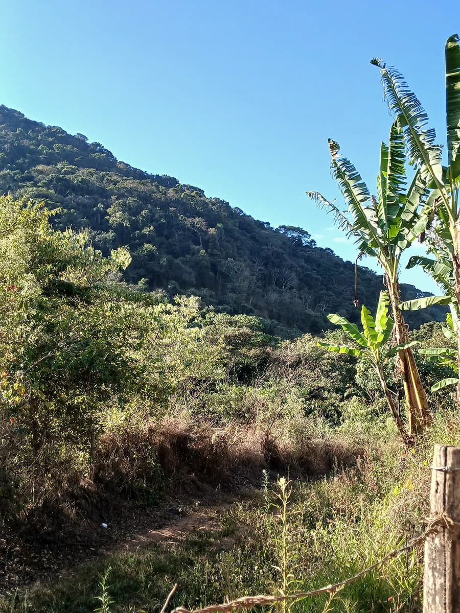 Reencontro com o caminho