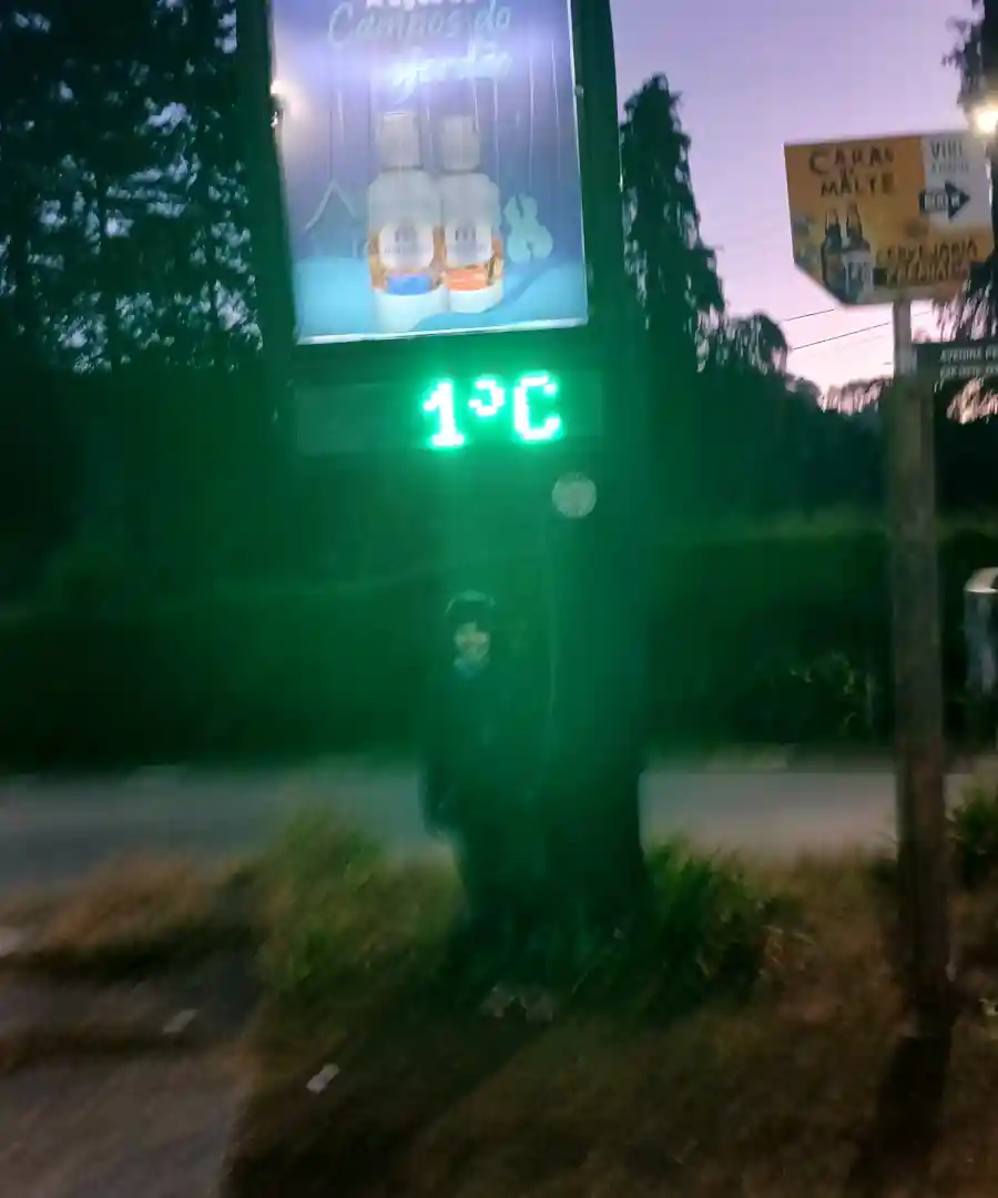 Reencontro com o caminho