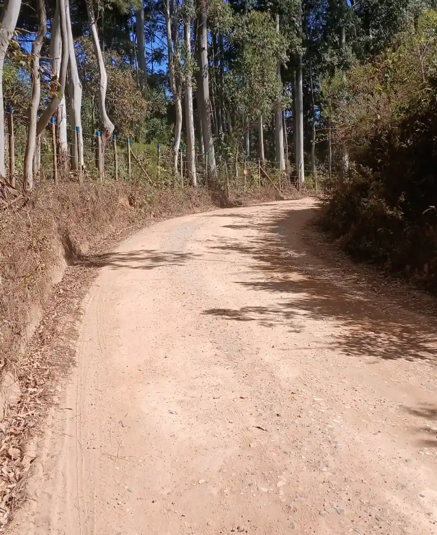 Reencontro com o caminho