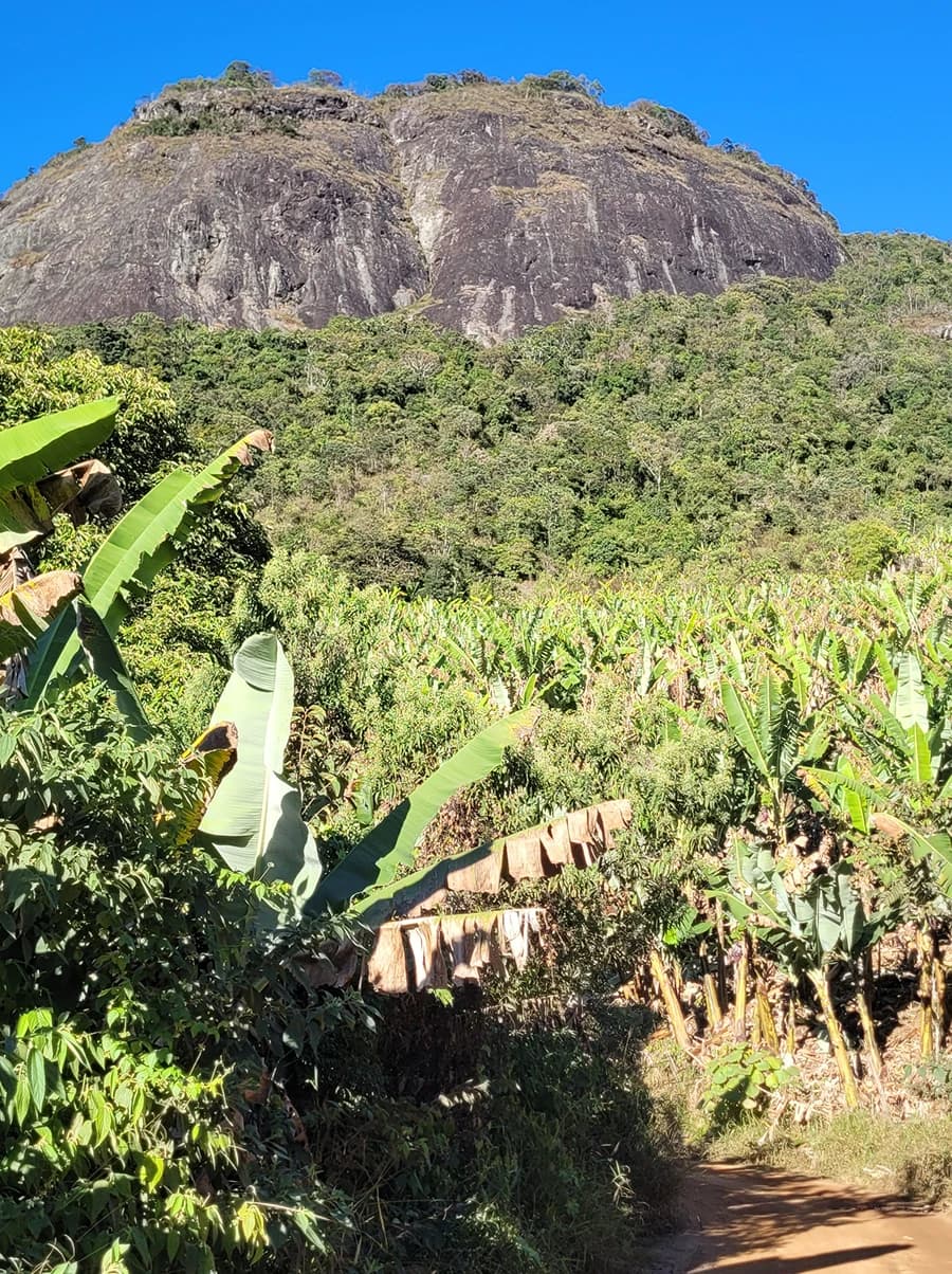 Peregrinação