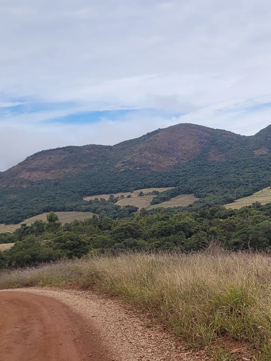 Peregrinação