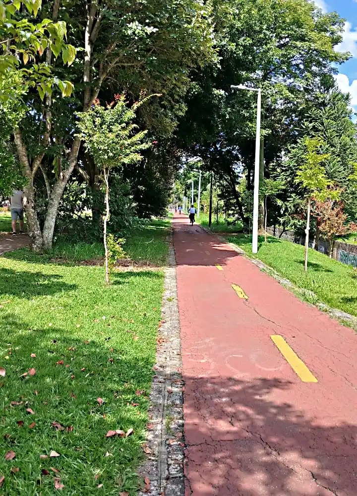 Pedal urbano