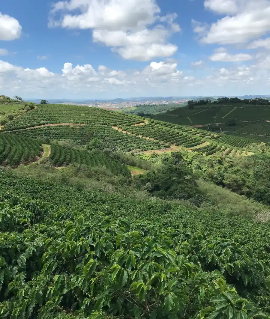 Café e montanhas