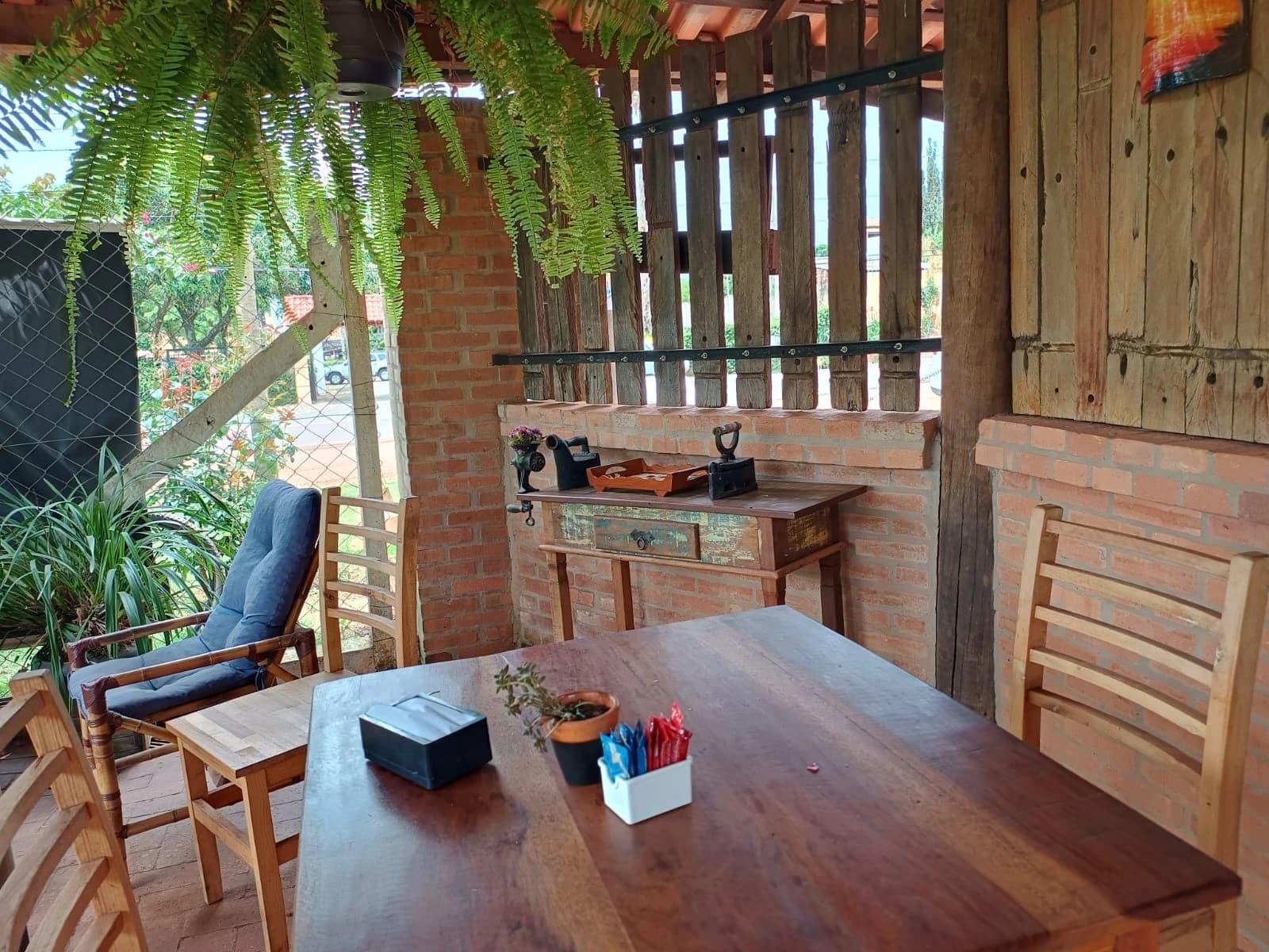 Berço do eucalipto