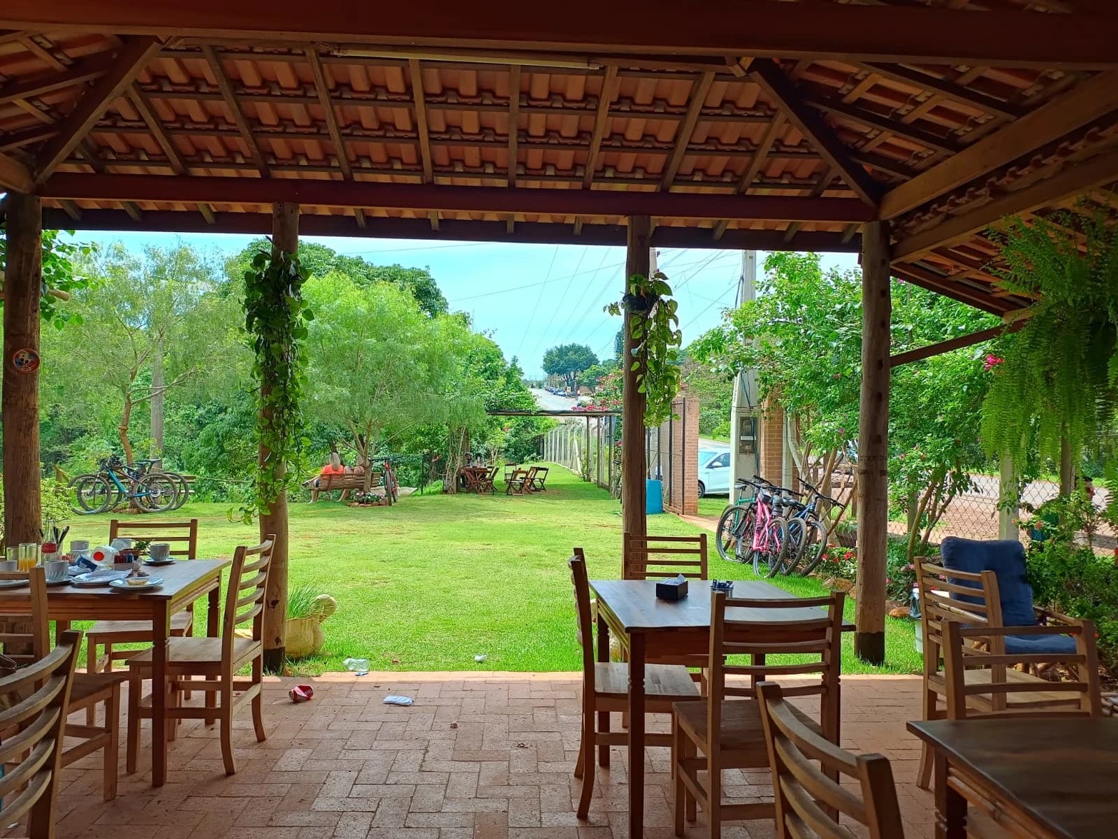 Berço do eucalipto