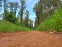 Horto Florestal