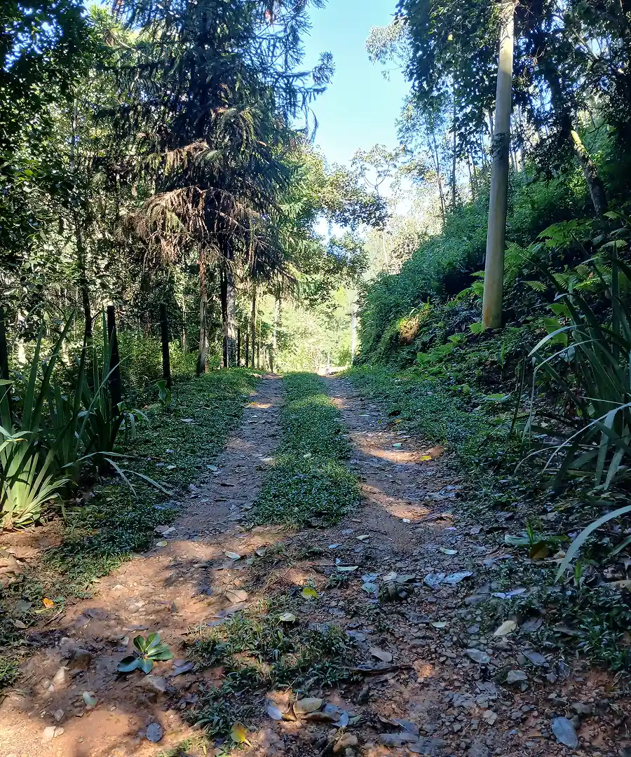 São Paulo, it's all...