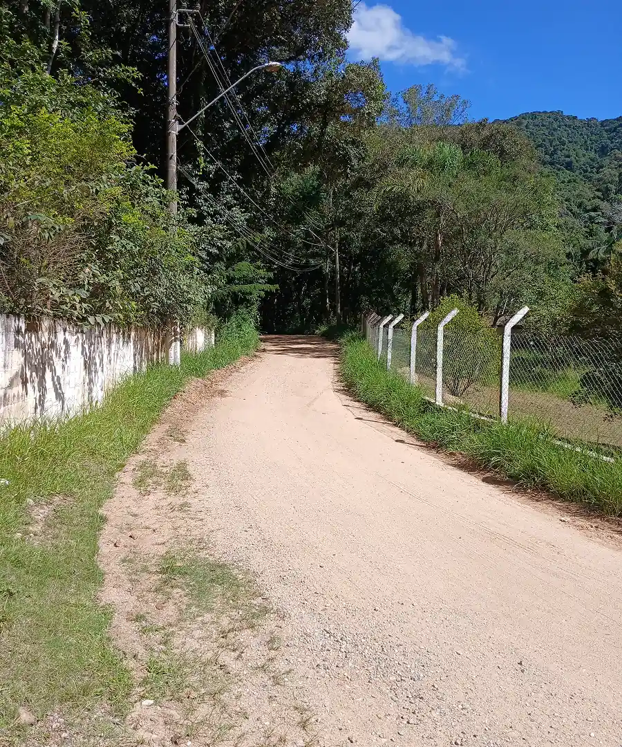 São Paulo, it's all...