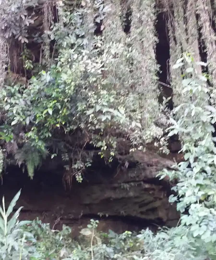 Belas memórias