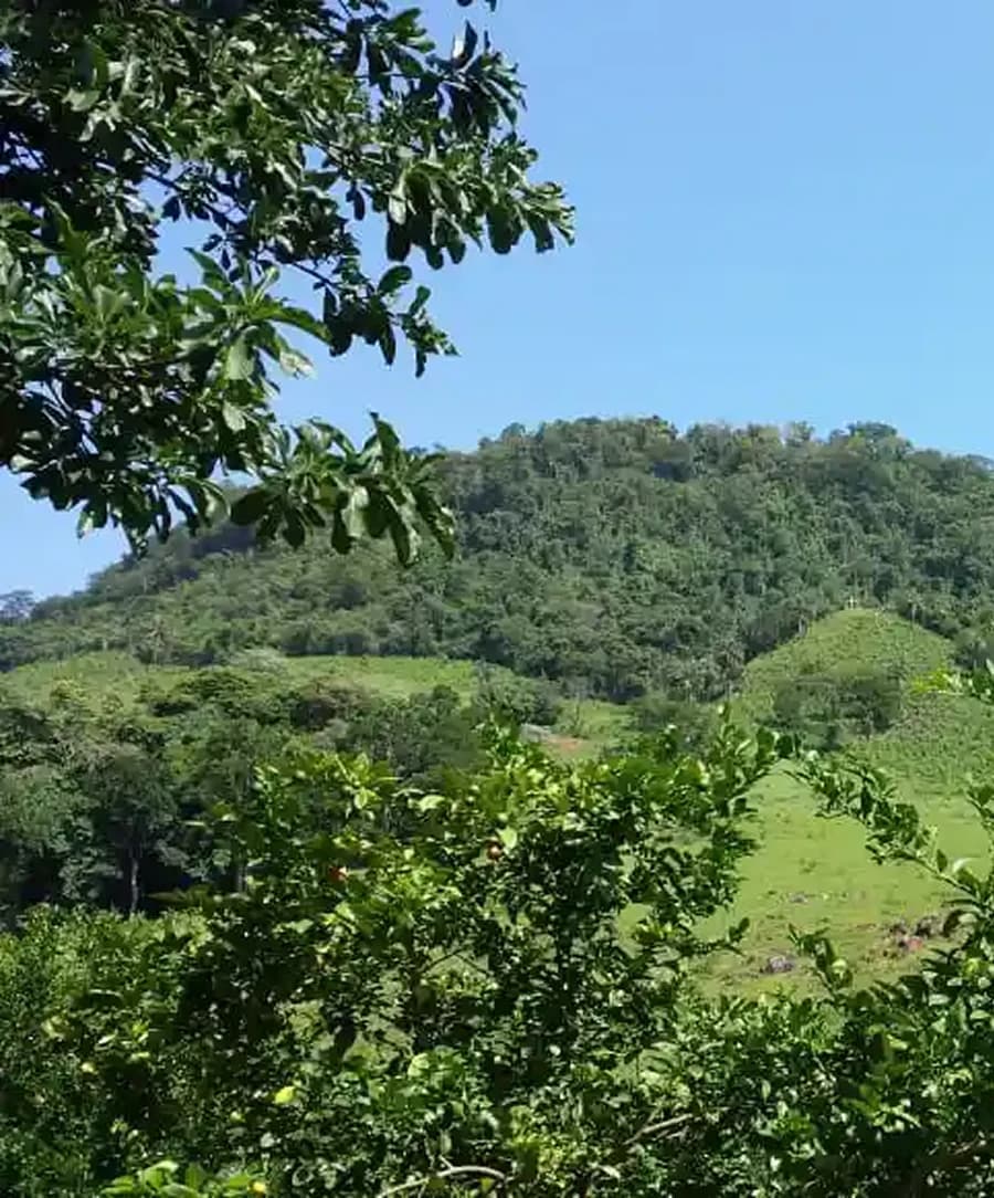 Belas memórias