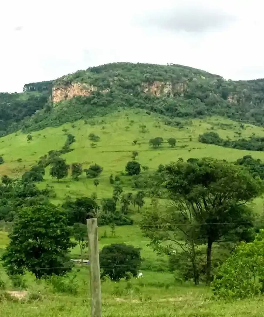 Belas memórias
