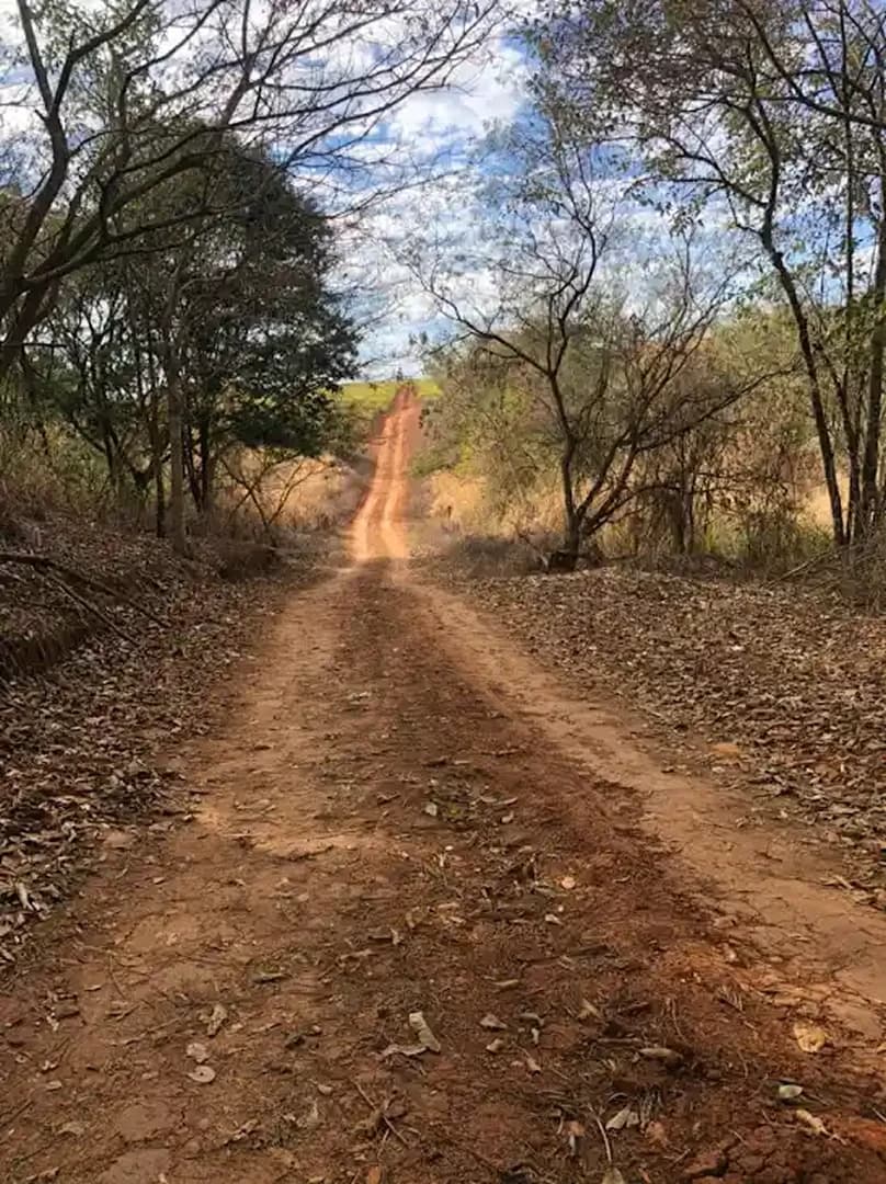Belas memórias