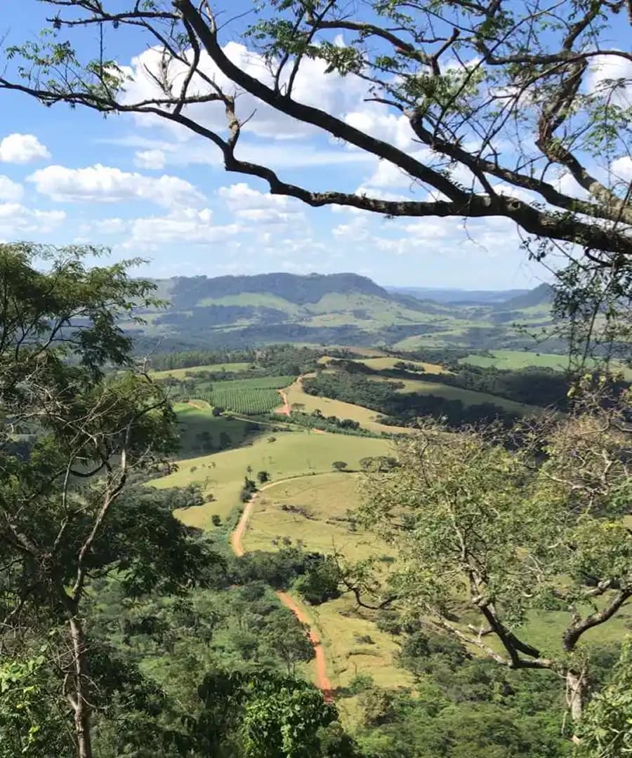 Belas memórias