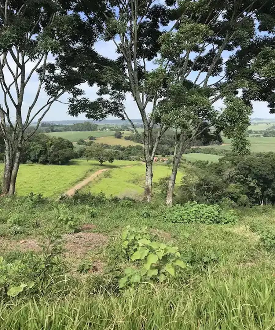 Belas memórias