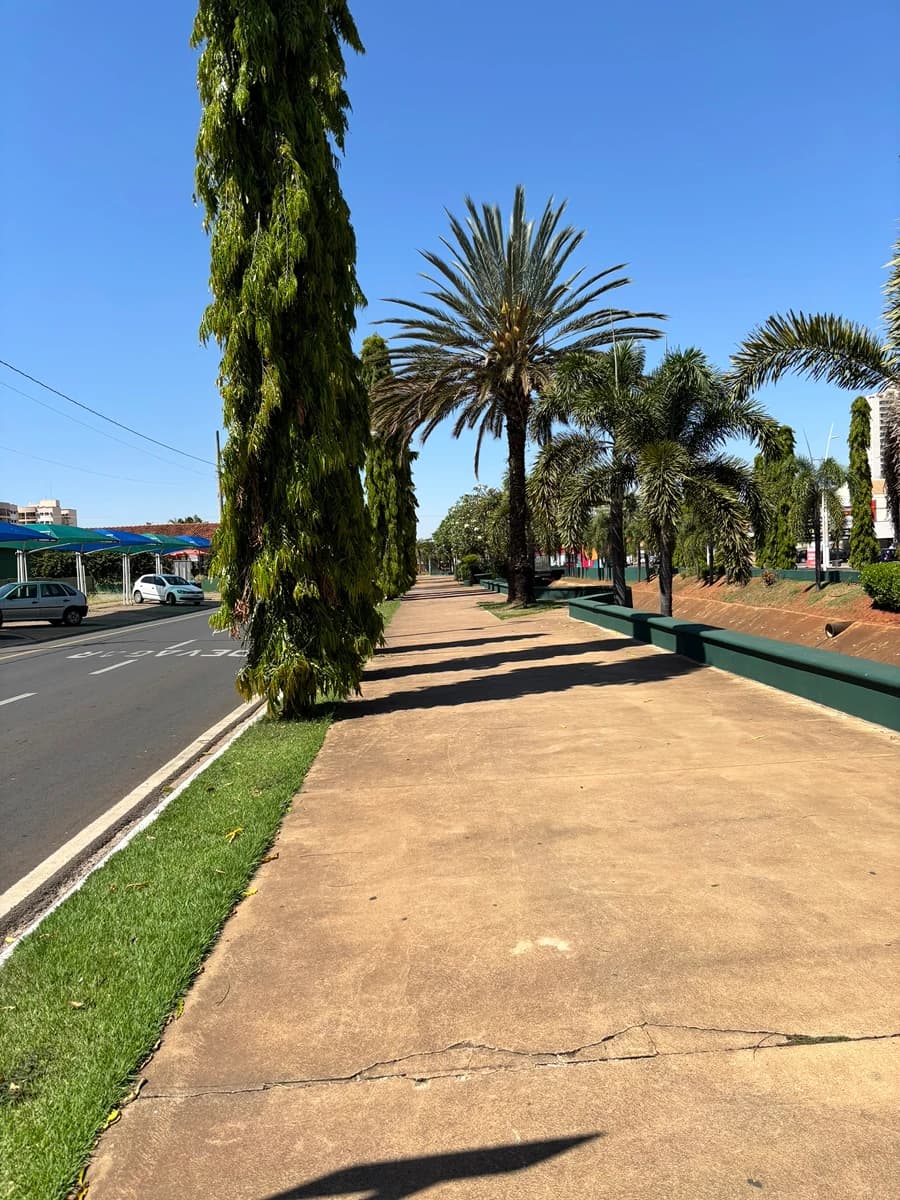 'Explorando interior de SP'