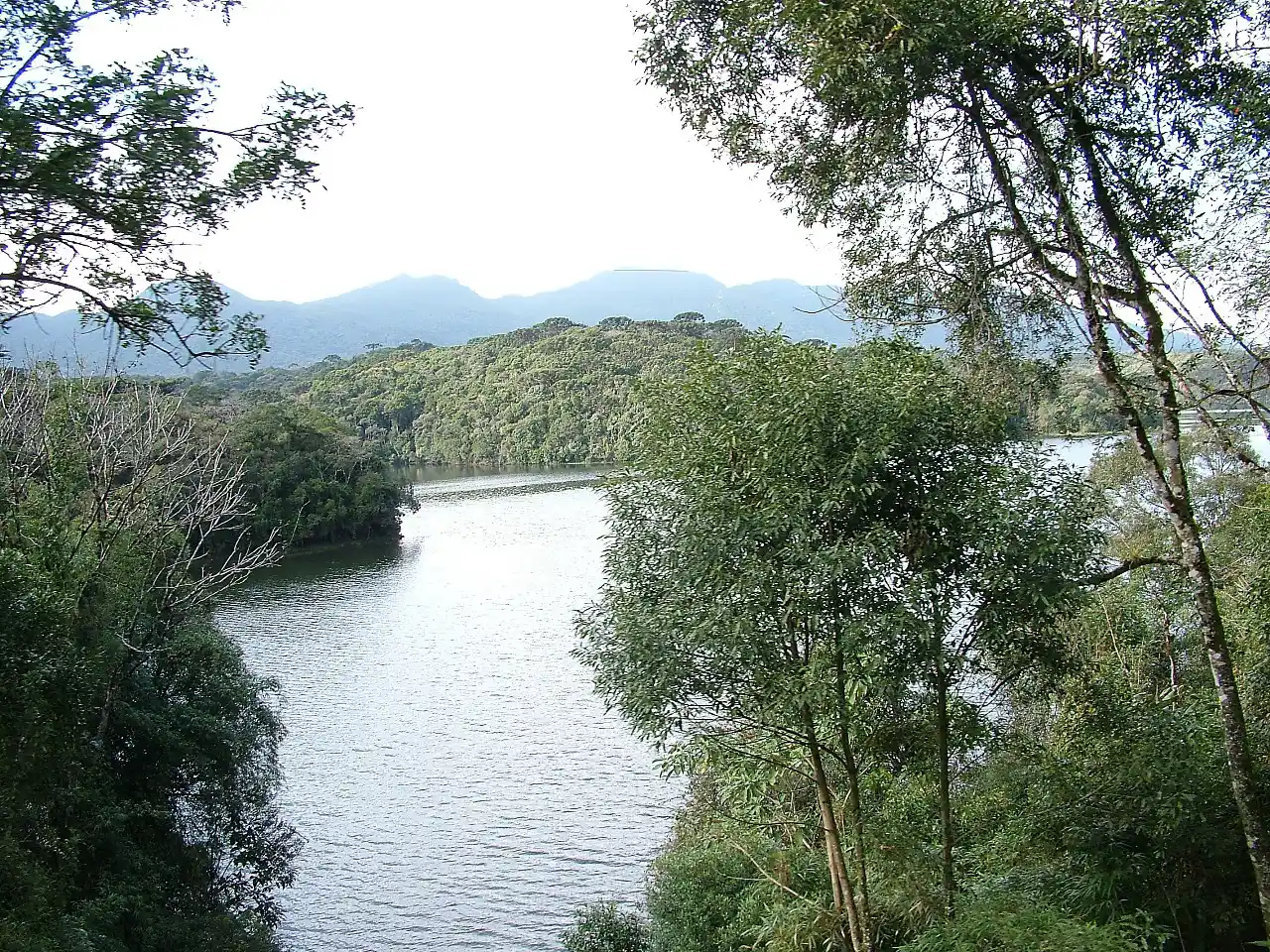 Litoral paranaense