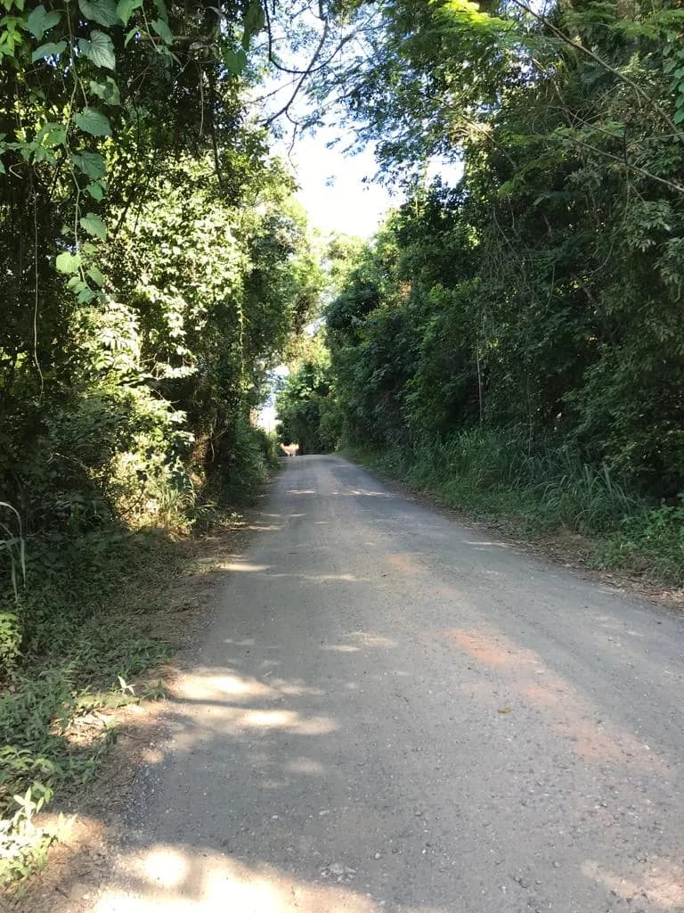 São José do Rio Pardo