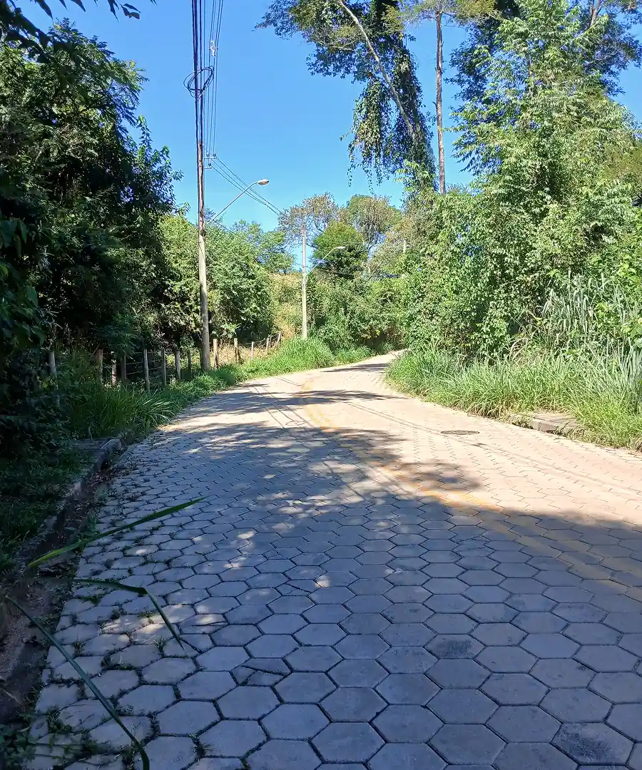 Passeio das frutas