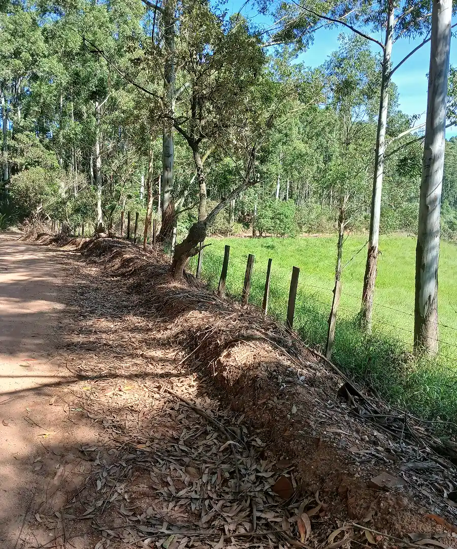 Passeio das frutas