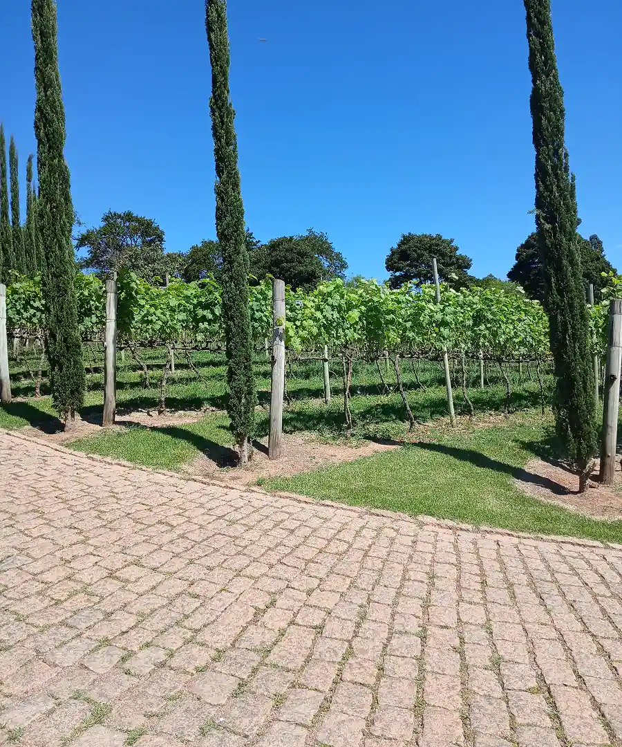 Passeio das frutas