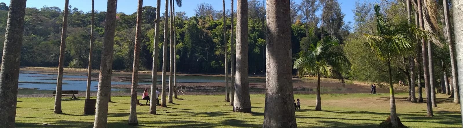 Horto Florestal