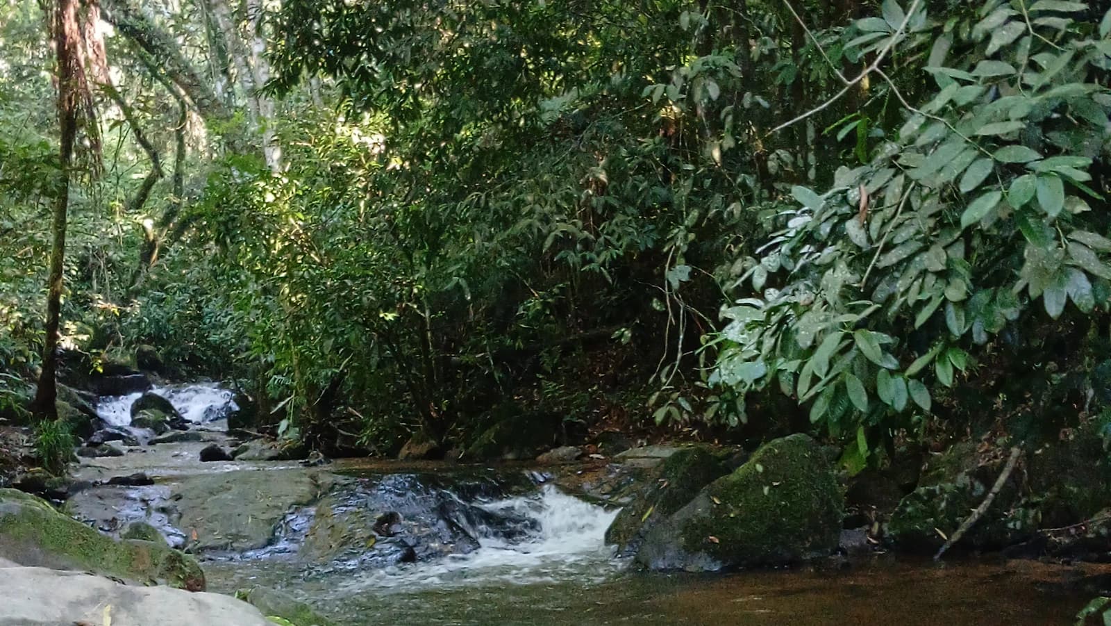 Serra do Japi