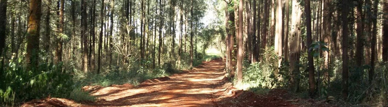 São Luís do Paraitinga
